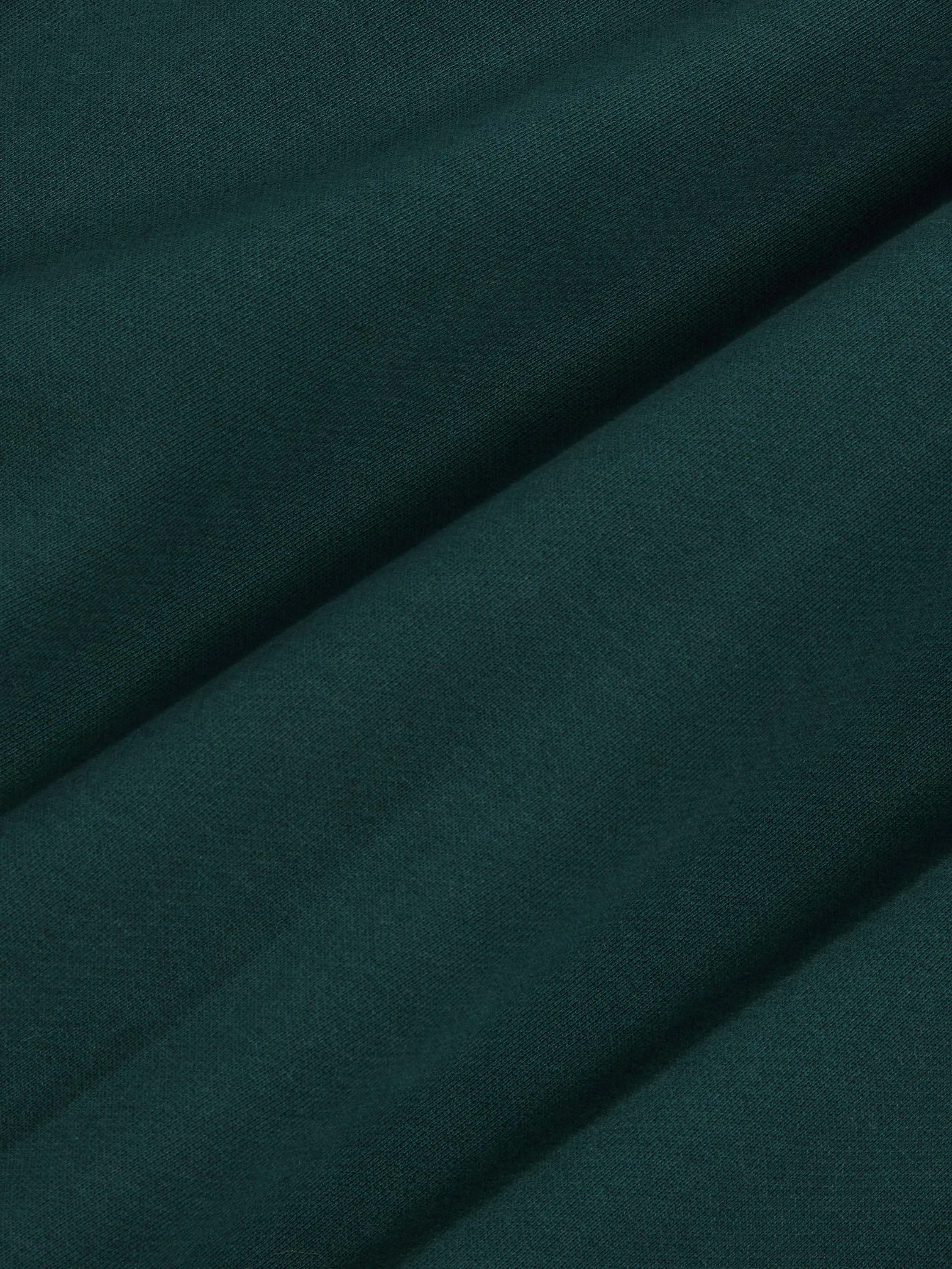 Archive High-Tech Naturalists Club Sweatshirt—foliage green