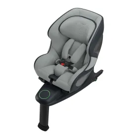 Babyark Smart Convertible Car Seat
