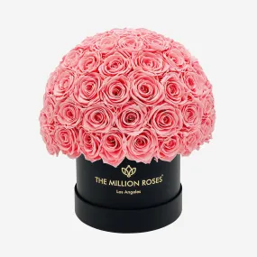 Classic Black Superdome Box | Light Pink Roses