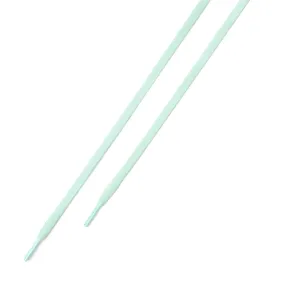 Trainer Laces: Mint Green