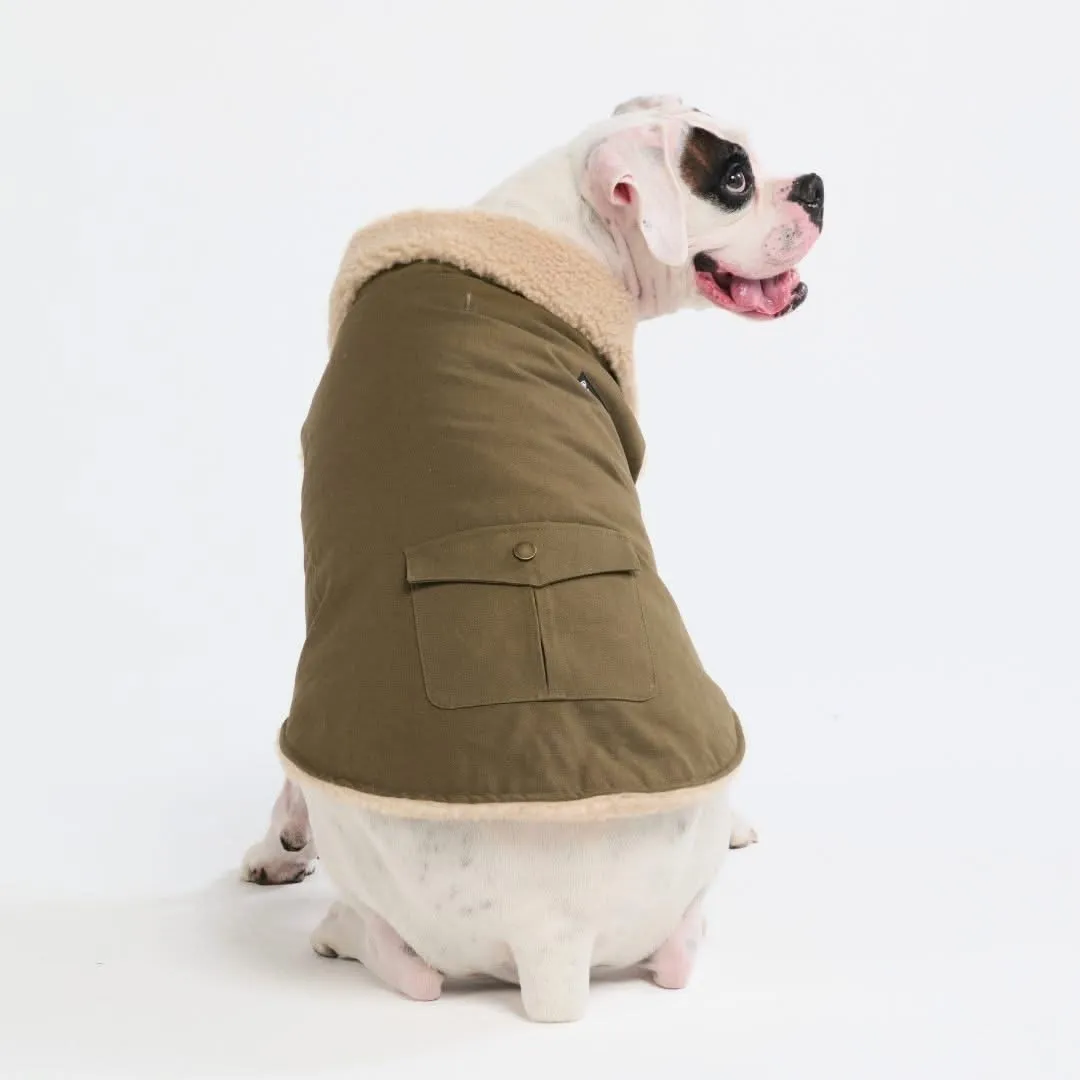 Workdog Insulated Utility Jacket Jackets