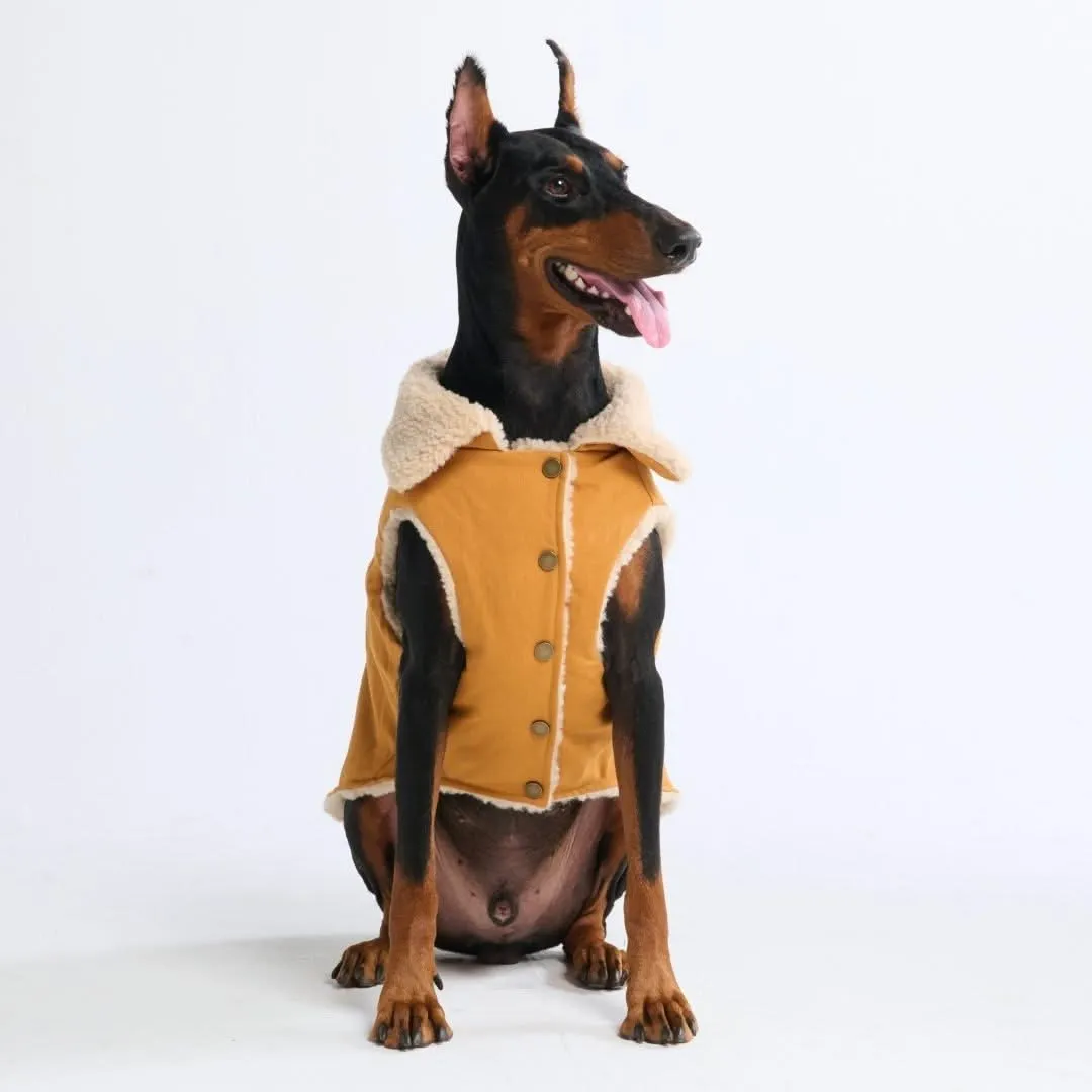Workdog Insulated Utility Jacket Jackets
